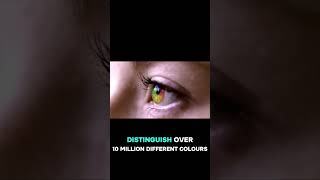 Your Eyes Can Detect 10 Million Colors#EyeFacts#ColorVision #BodySuperpowers#ScienceTok #VisionPower