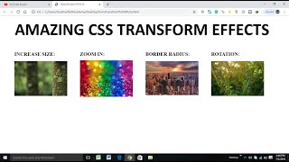 Css incredulous effects | Every Web developer should know | Transform effects