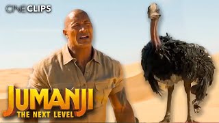 Jumanji: The Next Level | Meeting An Ostrich | CineClips