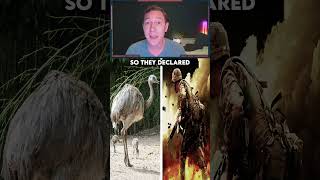 Australia's Bizarre War Against Emus