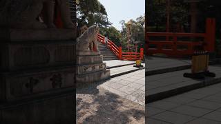 Osaka diaries: last days ⛩️ #japan #solotravel
