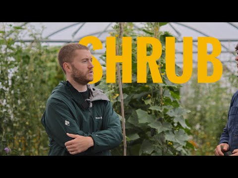 How Small Farms Are Fighting Back Against Industrial Agriculture | Herd Field Trip