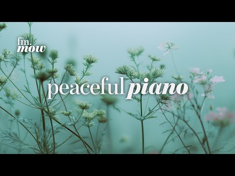 Peaceful Piano | soft winter stillness | calm music for gentle focus