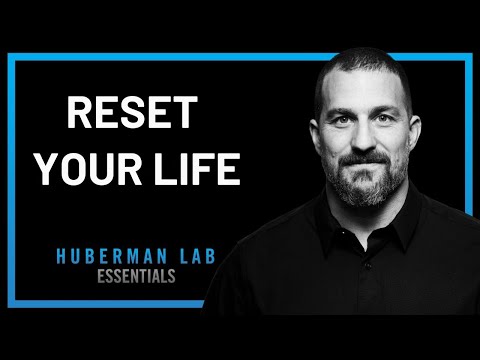 How to Start a New Life || Andrew Huberman