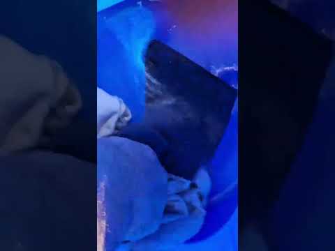 DIY Tent Weights For Pop Up Tents