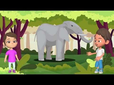 Explore the Jungle, Savanna & Ocean! | Meet Wild Animals with Alex & Sam