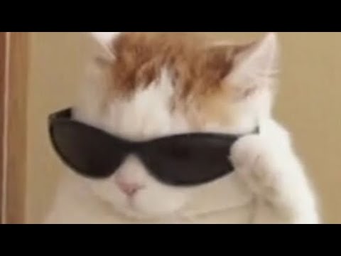 🔴MOSTRANDO A CIDADE Q EU JOGO ( deixa like para ajudar rpzd vlw)🔴💥