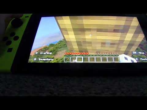 Survival World 4 (Minecraft)