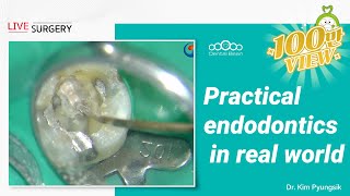 Practical endodontics in real world - [Dr. Kim Pyungsik]