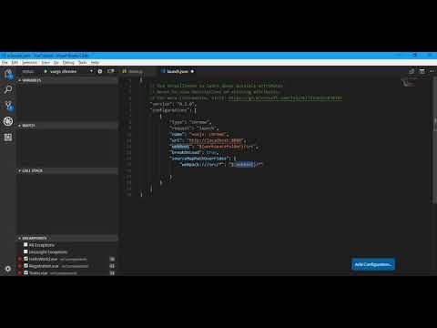 VueJs Application Debug In Visual Studio Code