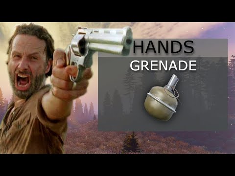 the people you meet in DayZ....