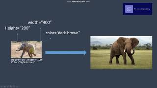 Html Attributes | For Beginners | HTML Course