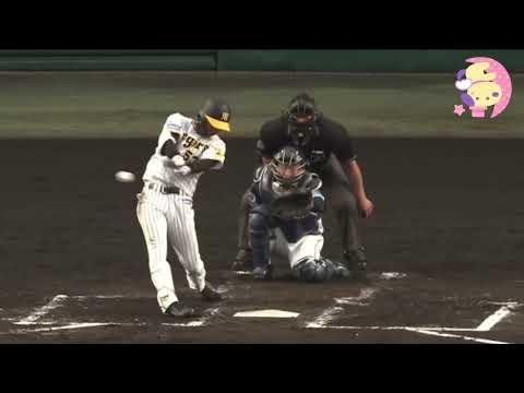 【阪神タイガース】島田海吏 安打シーンまとめ 6/1vs西武【猛打賞】