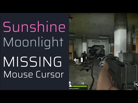 Sunshine & Moonlight Remote Gaming - Missing Mouse Cursor on Wayland! | SA1G0N