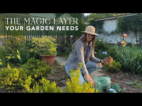 The Magic Layer Your Garden Needs | Summer-Blooming Bulbs