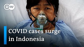 Red Cross warns Indonesia 'on the edge of a COVID-19 catastrophe' | DW News