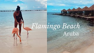 Flamingo Beach | Aruba Travel | Day Pass