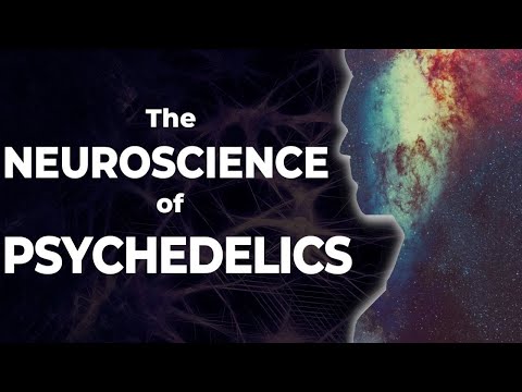 The Neuroscience of Psychedelics | How Psychedelics Work on the Brain