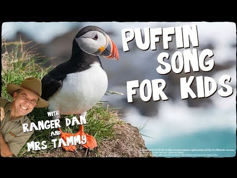 PUFFIN SONG FOR KIDS | Arctic Animal Songs | Animal Songs | Kids Songs | Creation Connection