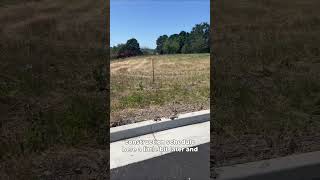 Understanding Construction Schedules: Utility Locates Explained