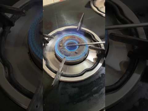 Betel leaf planting / வெற்றிலை கொடி நடுதல் #gardening #planting