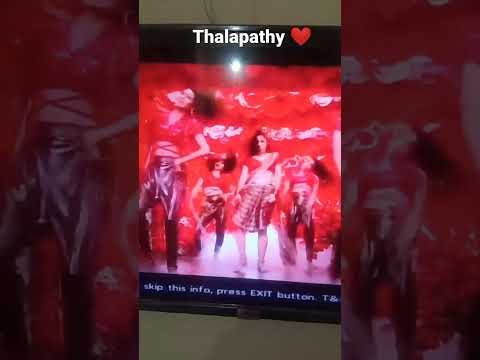 thalapathy rashmika