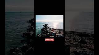 This is GOAT, it can shape-shift depends on the way it travels.