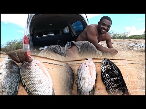 Using my slingshot to hunt fish in the mangrove for tilapia