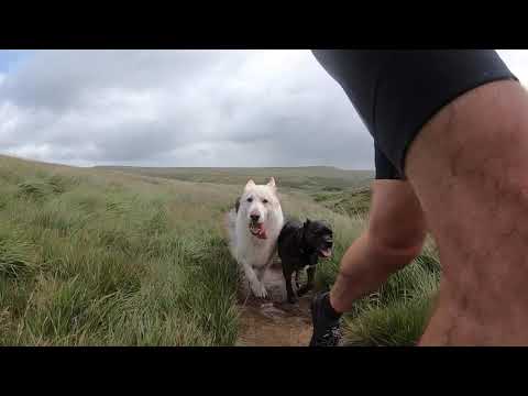 RETURN OF BBC WOOF