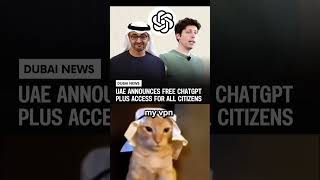 going to check #memes #codingmeme #meme #coding #programmingmeme #codingmemes #github #git