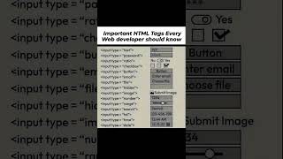 Important HTML Tags Every Developer Must Know 🌐 | Quick Web Tips #Shorts