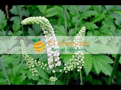 Black cohosh extracts, Cimicifuga racemosa, Triterpene glycoside ,benefits, production 2018 Organic