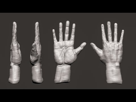 Mastering Realistic Hand Sculpting: Zbrush Timelapse Artistry | Zbrush Timelapse