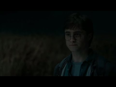 "Nobody else is going to die. Not for me." | Harry Potter and the Deathly Hallows Pt. 1