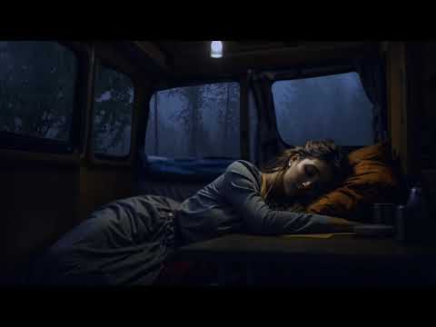 Rain in the Forest with Bird Sounds 🌲 Relaxing Nature Ambience for Sleep, Meditation & Stress Relief