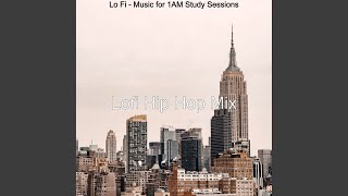 Music for All Night Study Sessions - Chill Hop Lo Fi
