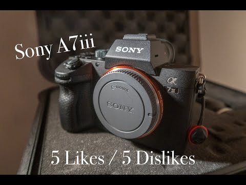 5 Likes and 5 Dislikes | Sony A7iii
