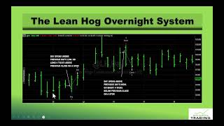 The Lean Hog Futures Overnight System
