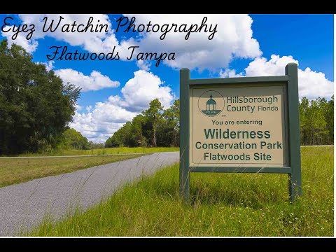 The Highlands Preserve Hillsborugh County Tampa Florida. A beautiful nature park, Florida USA.
