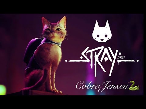 𝒞𝒶𝓃’𝓉 𝒸𝒶𝓉-𝒸𝒽 𝓂𝑒 🐈💨