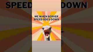 Server Speed Goes Down