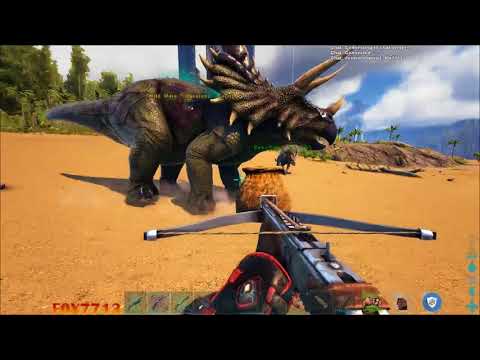 Immersive Taming Guide
