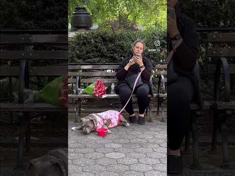 Unfortunately we need to speak about other things too #nyc #usa