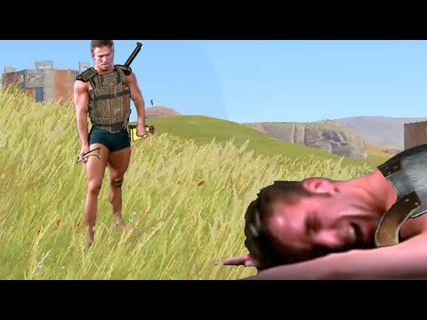 Rust but scripted