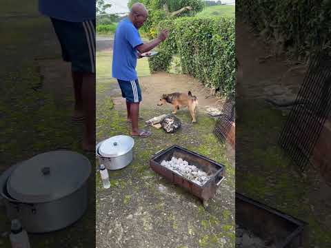 Meet my dog Cooper ☺️