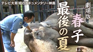 【劇場版】天王寺おばあちゃんゾウ 春子 最後の夏