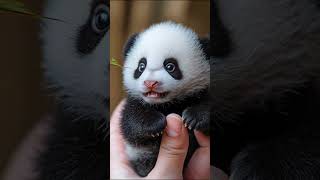 Micro-animals #funny #trending #animals #cute