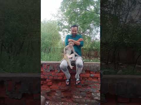 Jai Bajrang Bali #viral #viralvideo #viralshorts