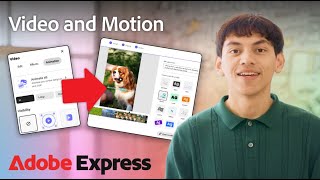 Add Animated Elements to Videos in #AdobeExpress | Adobe Express