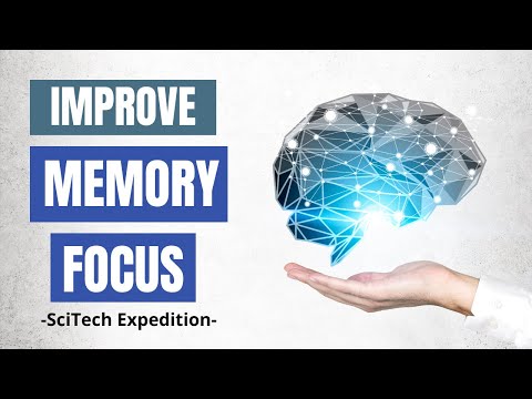 Supercharge your BRAIN : TOP Foods to BOOST Brain Power